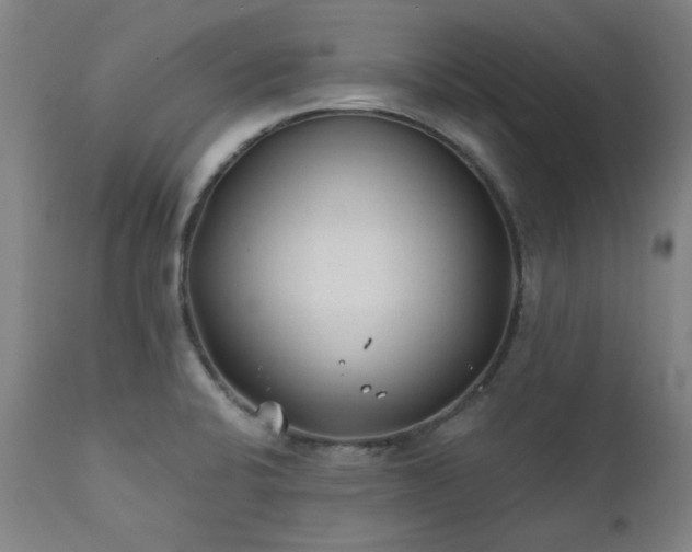 X0000111381424200907171212