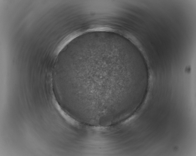 X0000111381425200907171212