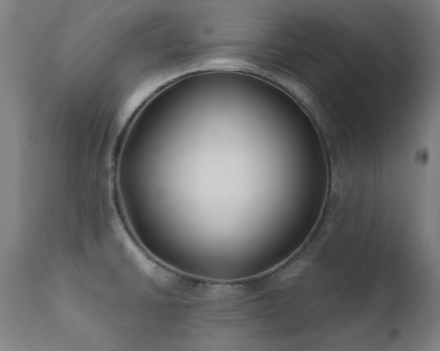X0000111381430200907171212