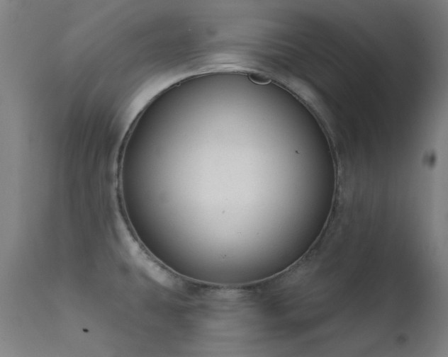 X0000111381431200907171212