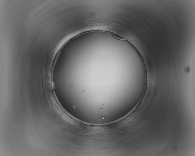X0000111381436200907171212