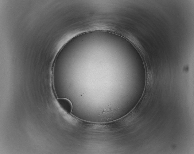 X0000111381439200907171212