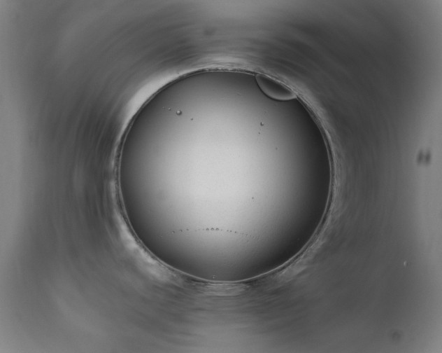 X0000111381440200907171212