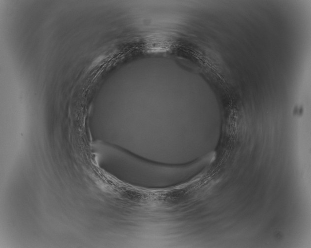 X0000111381441200907171211