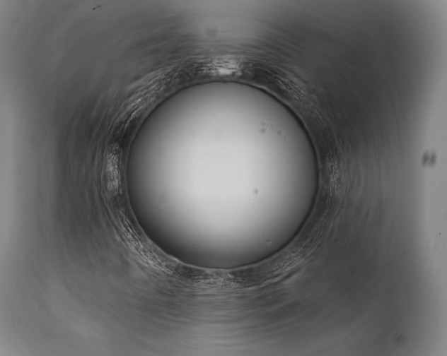 X0000111381442200907171211