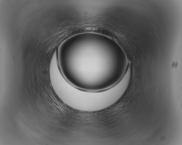 X0000111381444200907171211