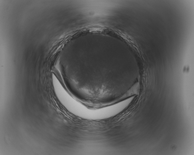 X0000111381445200907171211