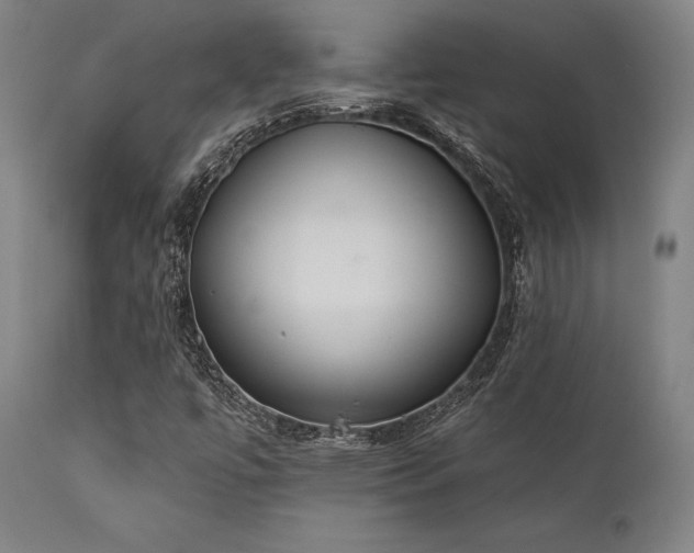 X0000111381447200907171211