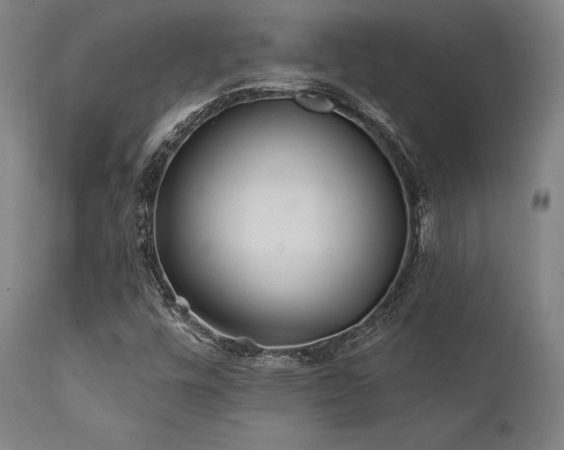X0000111381448200907171211