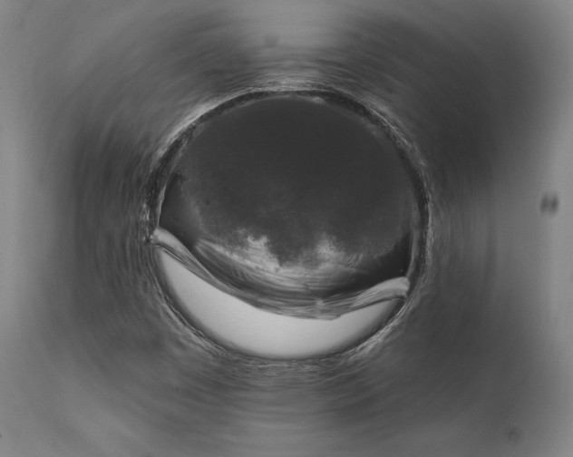 X0000111381449200907171211