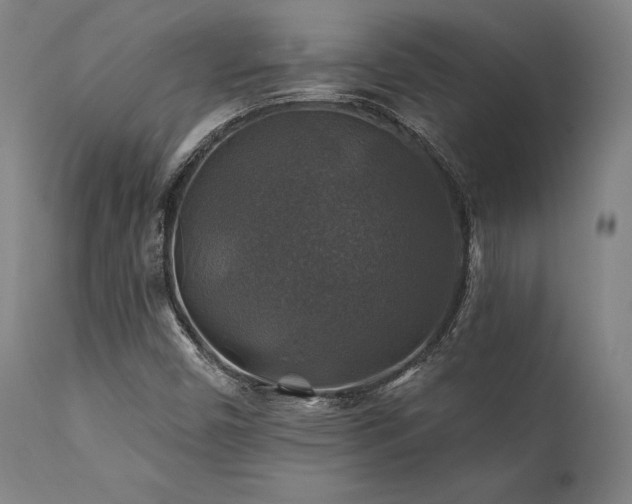 X0000111381450200907171211