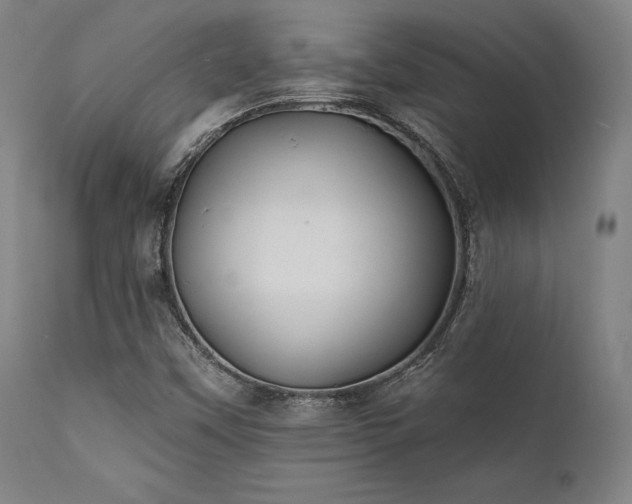 X0000111381451200907171211