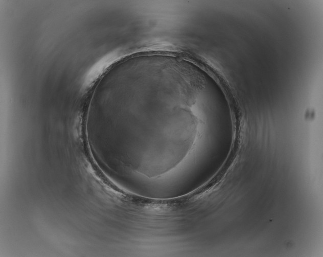 X0000111381455200907171211