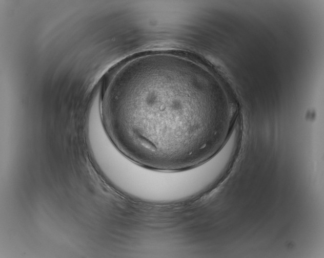 X0000111381457200907171211