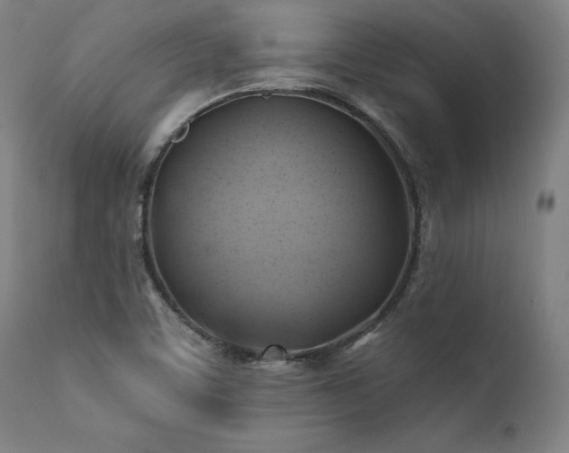 X0000111381459200907171211