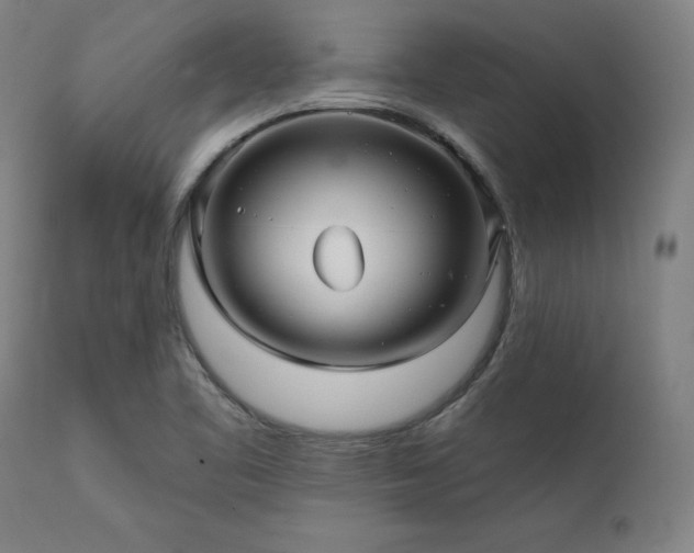 X0000111381461200907171211