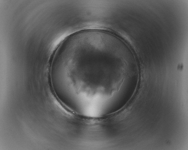 X0000111381463200907171211