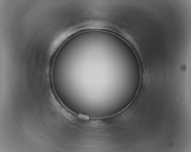 X0000111381464200907171211