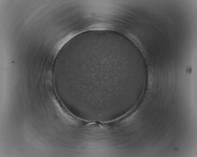 X0000111381465200907171211