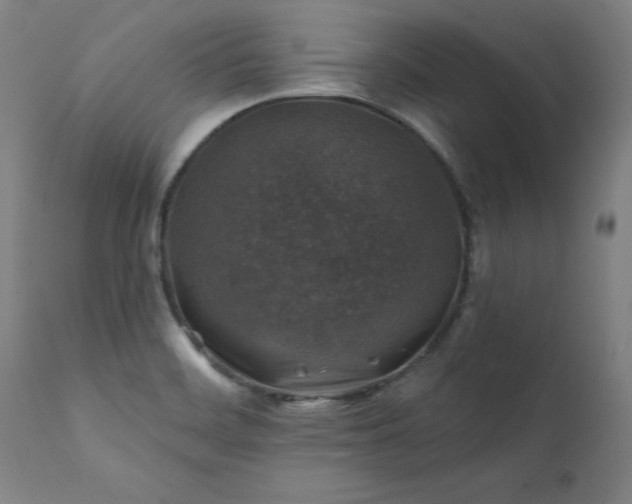 X0000111381468200907171211