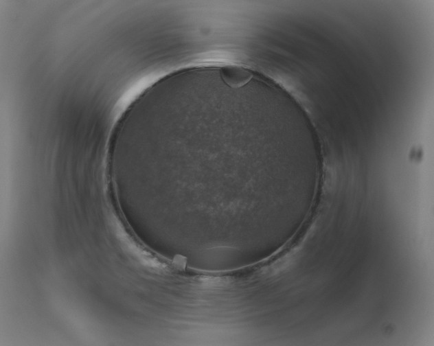 X0000111381469200907171211