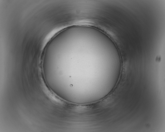X0000111381470200907171211