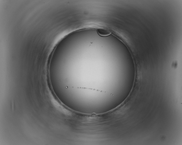 X0000111381471200907171211