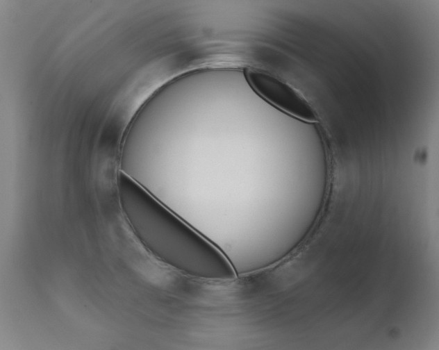 X0000111381473200907171211