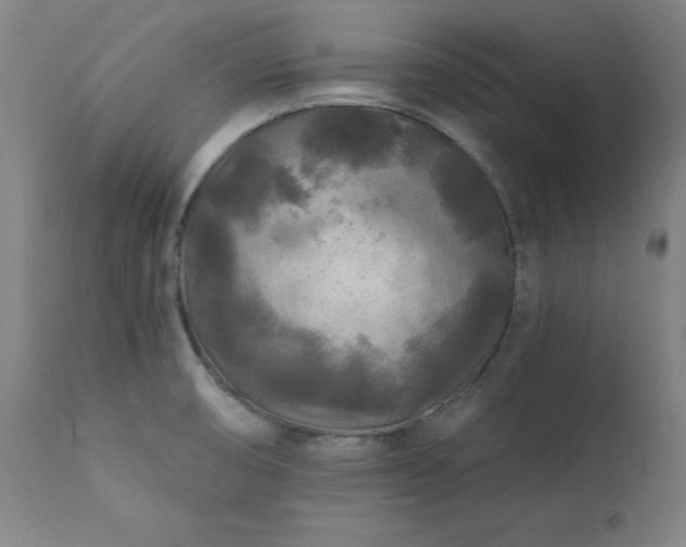 X0000111381474200907171211
