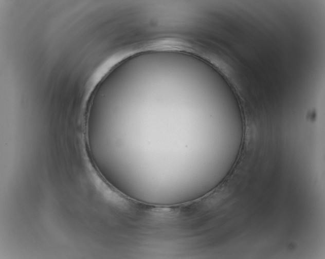 X0000111381478200907171211