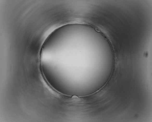 X0000111381479200907171211
