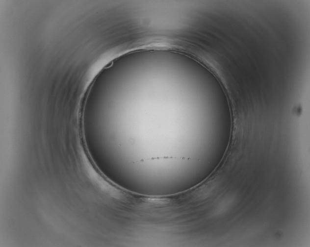 X0000111381483200907171211