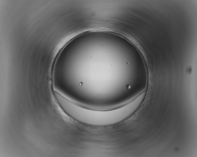 X0000111381485200907171211