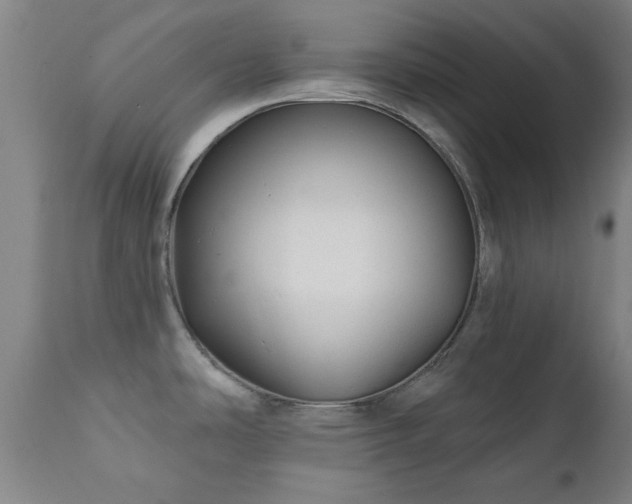 X0000111381486200907171211