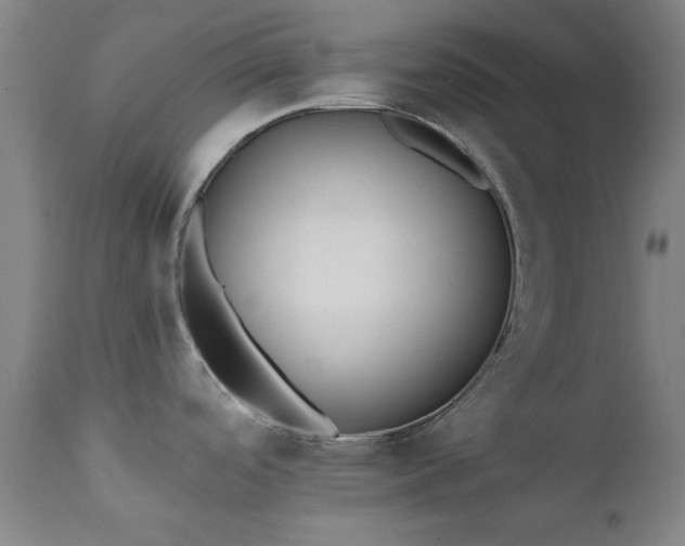 X0000111381488200907171211