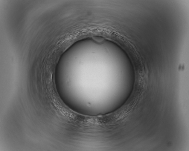 X0000111381489200907171210