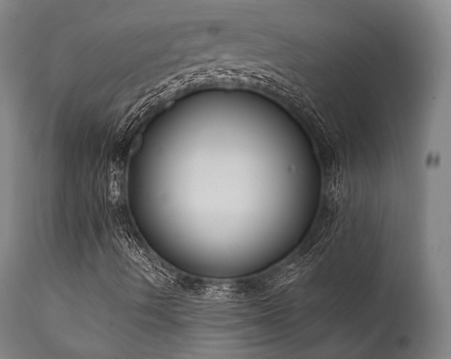 X0000111381490200907171210