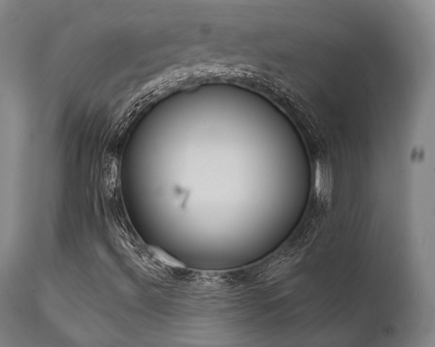 X0000111381492200907171210