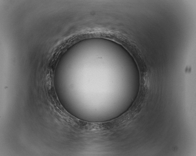 X0000111381493200907171210