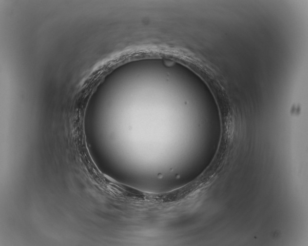 X0000111381494200907171210