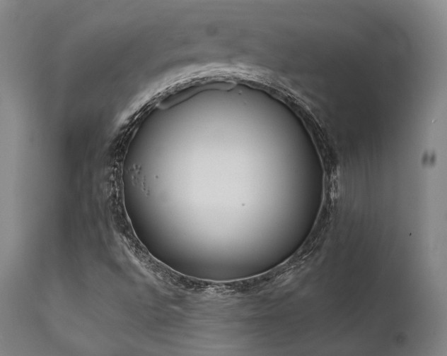 X0000111381496200907171210
