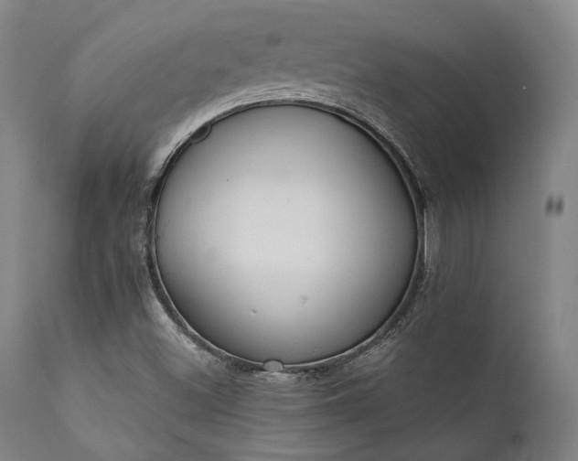 X0000111381500200907171210