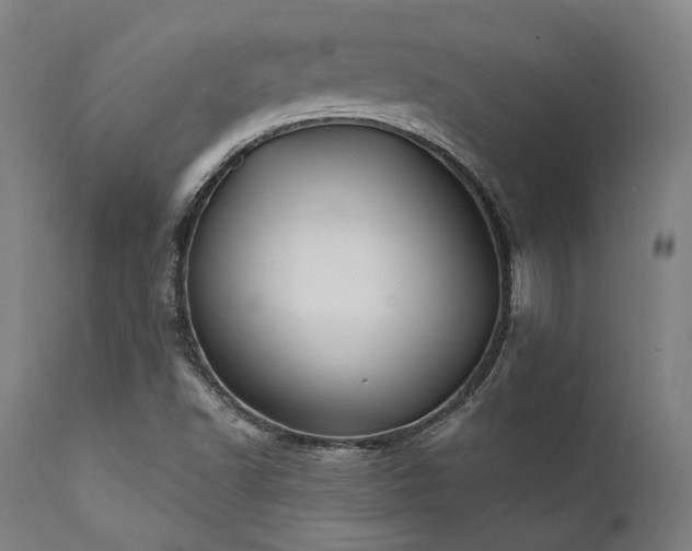 X0000111381502200907171210