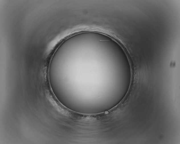X0000111381503200907171210