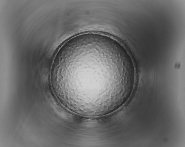 X0000111381505200907171210