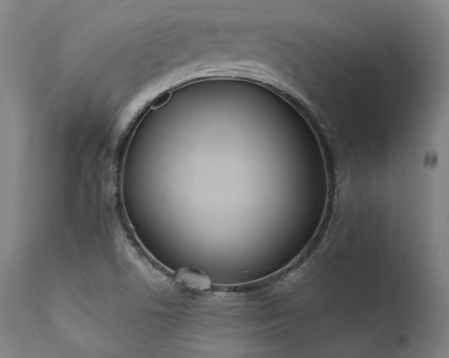 X0000111381506200907171210