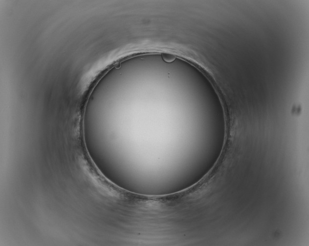 X0000111381507200907171210