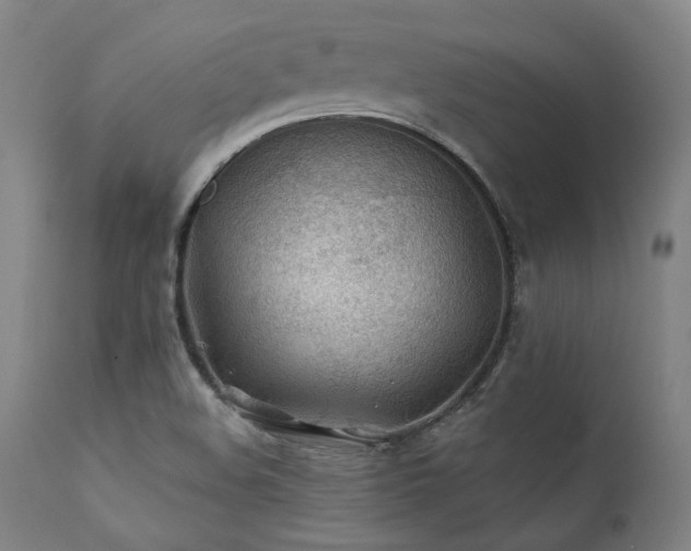 X0000111381508200907171210