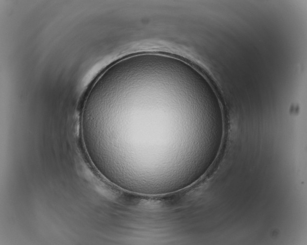 X0000111381509200907171210