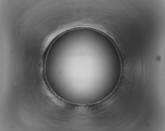 X0000111381511200907171210